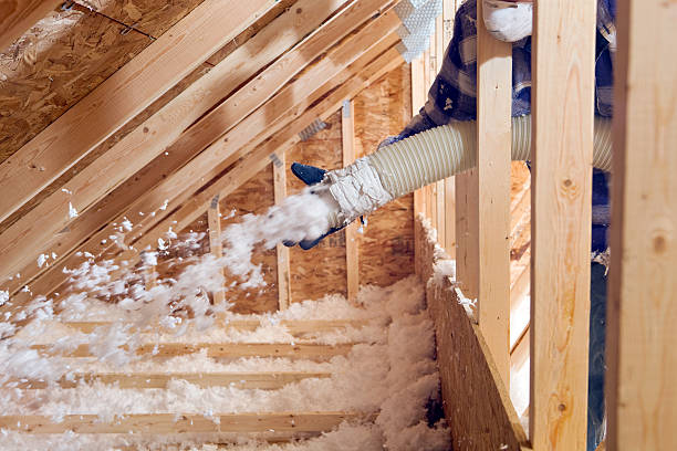 Best Blown-In Insulation  in Madison, FL